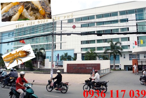 Công ty Diệt mối Tận Gốc tại bệnh viện quận Tân Phú-