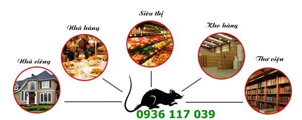 Công ty diệt chuột nhà ở tại quận Tân Bình