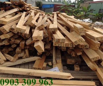 Cần diệt mối gỗ cho nhà kho quận Bình Thạnh
