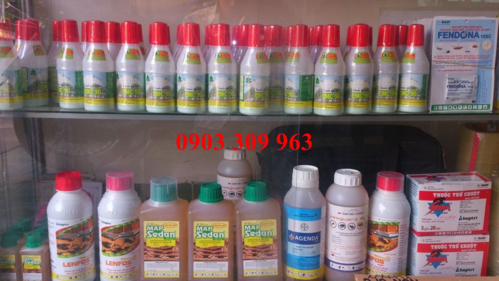 Tân Bình bán thuốc diệt mối hiệu quả - tan binh ban thuoc diet moi hieu qua