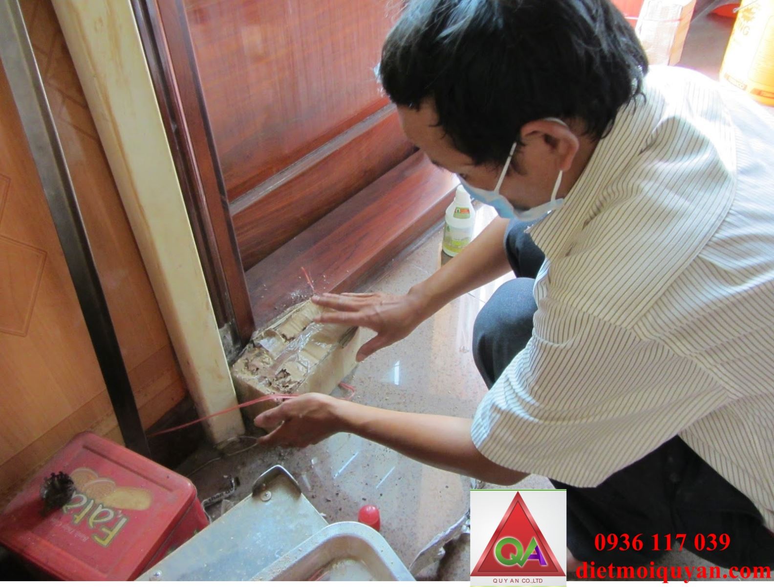 Công ty diệt mối tân gốc tại Quận 5  Hcm